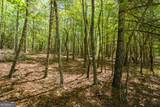 LOT 35 Spring Camp Road - Photo 6