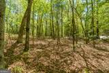 LOT 35 Spring Camp Road - Photo 8