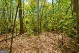 LOT 35 Spring Camp Road - Photo 9