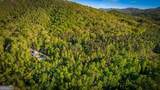 391 Forest Service 117 Road - Photo 18