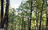 0 Walnut Mountain Road - Photo 2