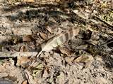 0 Folds Road - Photo 31