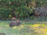 V/L 21 Lighthouse Circle - Photo 12