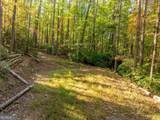 TRACT 1 Turniptown Road - Photo 1