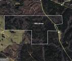 0 County Road 49 - Photo 1