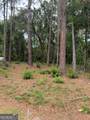 134 Palmera Lane - Photo 2
