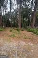 134 Palmera Lane - Photo 4