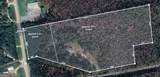 141 Harrietts Bluff Road - Photo 1