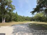 141 Harrietts Bluff Road - Photo 8