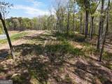 LT 20 Blalock Mountain Road - Photo 10