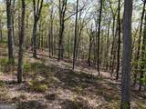 LT 20 Blalock Mountain Road - Photo 11