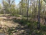 LT 20 Blalock Mountain Road - Photo 19