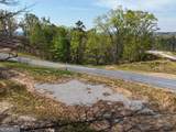 LT 20 Blalock Mountain Road - Photo 5