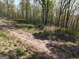 LT 20 Blalock Mountain Road - Photo 9