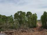 2574 Hwy 27 - Photo 7