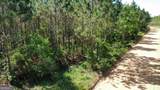 0 Sunflower Road - Photo 5