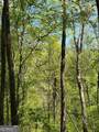 9.8 AC Brown Mountain - Photo 6