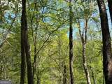 9.8 AC Brown Mountain - Photo 7