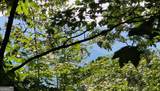 LOT 17 Abbott Mill Road - Photo 1