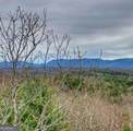 LOT 17 Abbott Mill Road - Photo 12