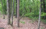 LOT 17 Abbott Mill Road - Photo 4