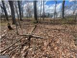 LOT 17 Abbott Mill Road - Photo 6