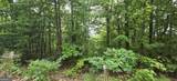 LOT 17 Abbott Mill Road - Photo 8