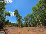 148 Berry Road - Photo 6