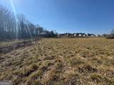 7 ACRES Wheeler Road - Photo 10