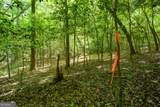 0 Hwy 136 (3.12 Acres) - Photo 6