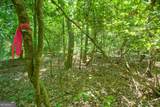 0 Hwy 136 (3.12 Acres) - Photo 9