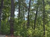 LOT 31 Summit View Lane - Photo 12