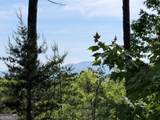 LOT 31 Summit View Lane - Photo 16