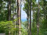 LOT 1 High Country Lane - Photo 2