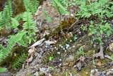00004 Windridge Lane - Photo 10