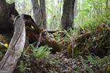 00004 Windridge Lane - Photo 11