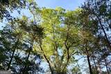 00004 Windridge Lane - Photo 15