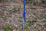 00004 Windridge Lane - Photo 3