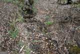 00004 Windridge Lane - Photo 6