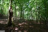 00008 Windridge Lane - Photo 10