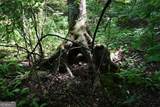 00008 Windridge Lane - Photo 13