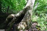 00008 Windridge Lane - Photo 14
