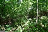 00008 Windridge Lane - Photo 15
