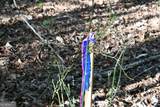 00008 Windridge Lane - Photo 21
