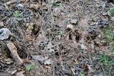 00008 Windridge Lane - Photo 22