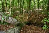 00008 Windridge Lane - Photo 5