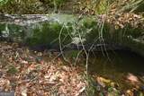 00008 Windridge Lane - Photo 6