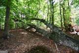 00008 Windridge Lane - Photo 8