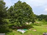 2536 Brindle Farmer Road - Photo 12