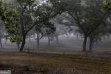 16505 Union Road - Photo 32